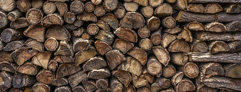 firewood
