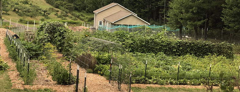 garden-1