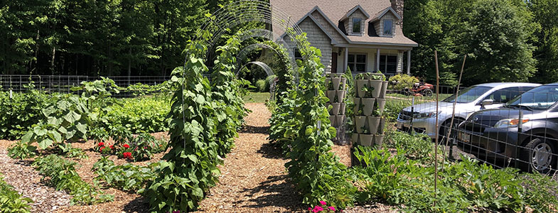garden-3
